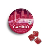 WILD CHERRY GUMMIES 100MG 20/PK